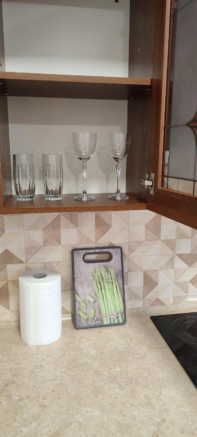 Sweethomeapartment Kamieniec Podolski Zewnętrze zdjęcie